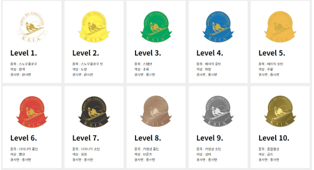 Ksia 주니어 스키 레벨 배지