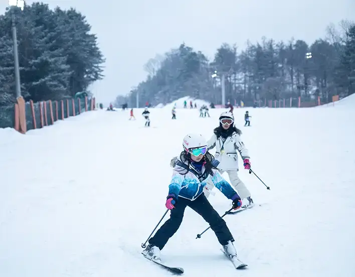 어린이 스키강습 선택요령 - 스키강습 이미지 Img 4681