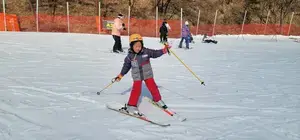 스키강습 가격만 보시나요? 이것만 알면 실력 올리는 효율적인 강습 고를 수 있어요! 1탄 - 스키강습 이미지 초급 강습 이미지